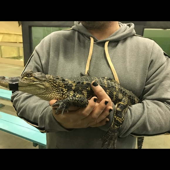 Meet your Posher, Jeffrey - Picture 3 of 5